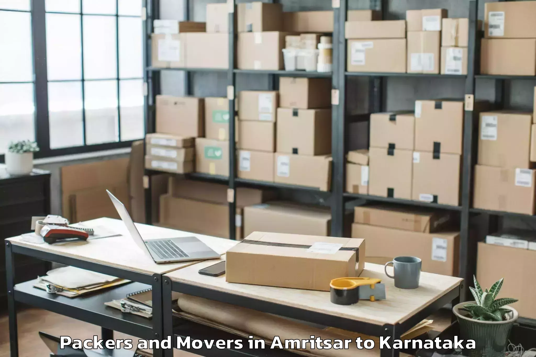 Professional Amritsar to Huvina Hadagali Packers And Movers